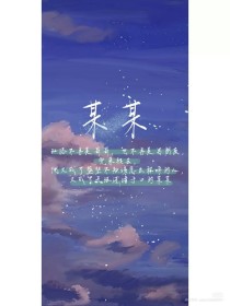 深入了解 老镖客城中村全集